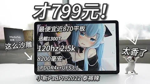 【窮】799元買！最便宜的近高通870神機！120hz 2.5k屏，還有8200電池，全網尾測！小新PadPro2022測評~ - 天天要聞
