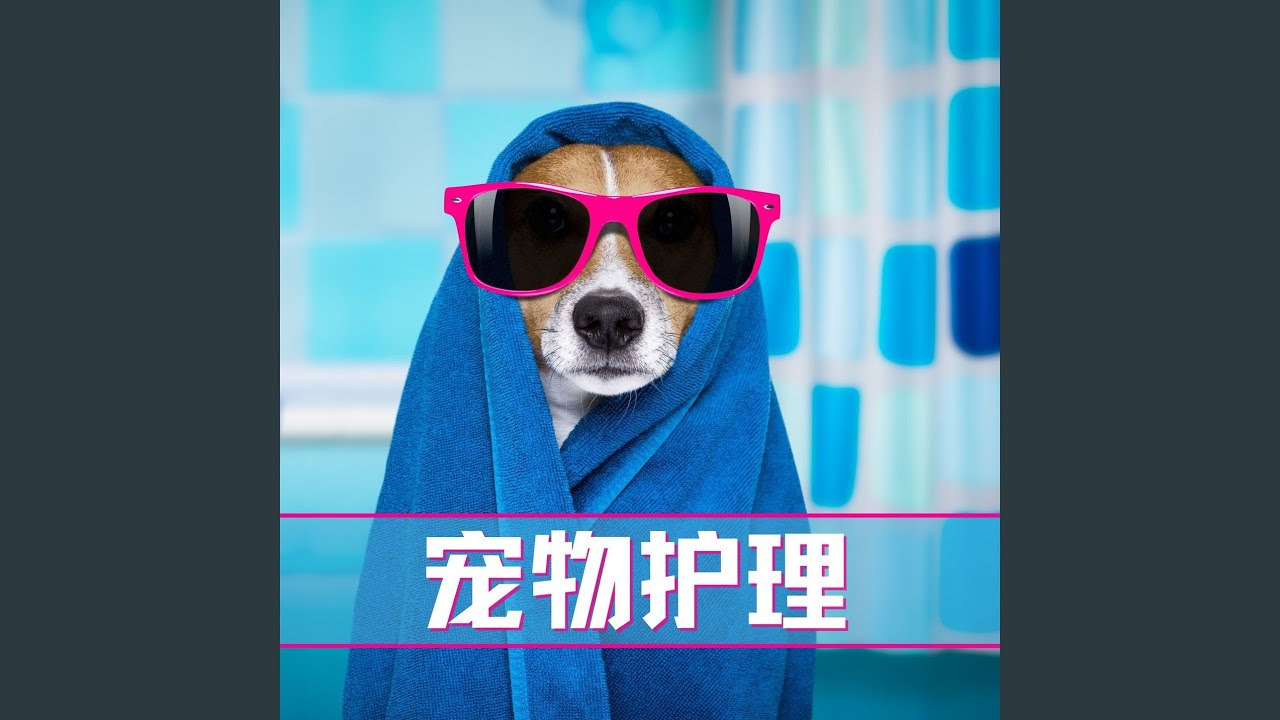 Watch 水声 on YouTube Watch 水声 on YouTube