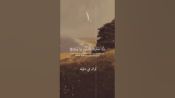 قران كريم ارح قلبك وسمعك #المصحف #قران_في_دقيقة #قران #quran #علي_جابر @قران_في_دقيقة