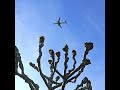 Avião na Suíça #viral #viagem #aviation #fyp