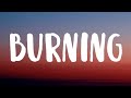 Miniature de la vidéo de la chanson Burning