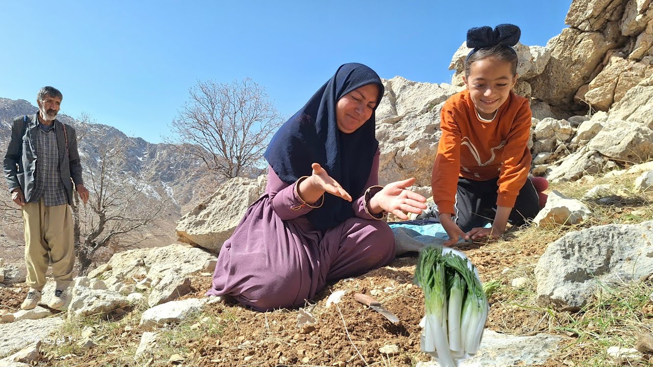 **Голод или выживание?! Мать и пещерная девочка обнаружили горное растение!