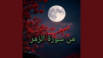ما تيسر من سورة الزمر