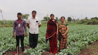 फ्लॉवर पिक लागवड ! माहिती व मुलाखत | यशोगाथा | cauliflower farming in Pune | how to grow cauliflower