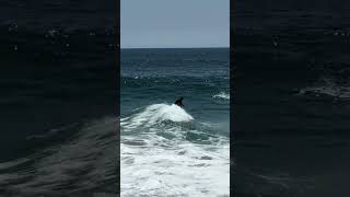 Skimboarder Catches Wave Of The Day