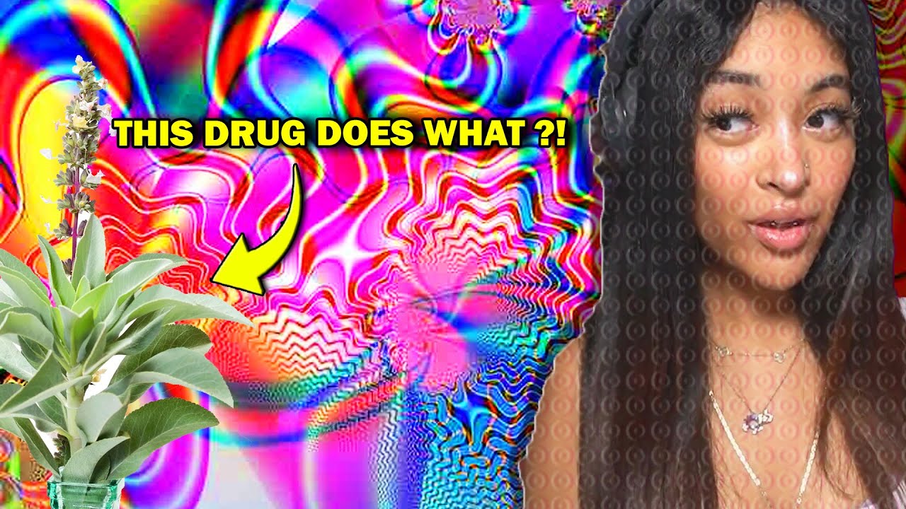 Как сальвия превратила меня в потолочный вентилятор