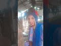 दिन रात मेरी सास का कौन बनेवाली है सनी देओल दोगी #comedy #funny #comedymove #sorts 😂😂