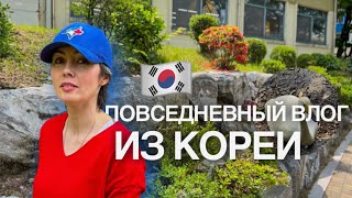 Vlog: Чуанде. Гуляем по территории корейского университета 📚