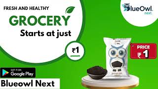 Welcome To Blueowl Fresh Groceries, Lowest Price