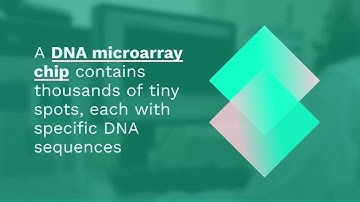 DNA Microarray: Revolutionizing Genomics in 2025-Exclusive Insights by DataM Intelligence