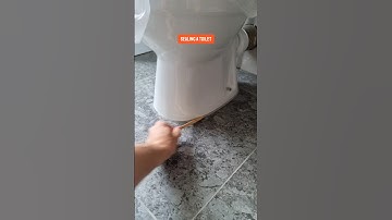 Mastic Man- Silicone caulk application- Sealing a toilet 🚻 #satisfying #masticman #howto