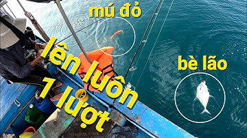 Câu Cá Côn Đảo ngày 2 | Dính cặp cá mú đỏ cực đẹp | Thích Câu Cá #fishing #cauca #caucabien #jig