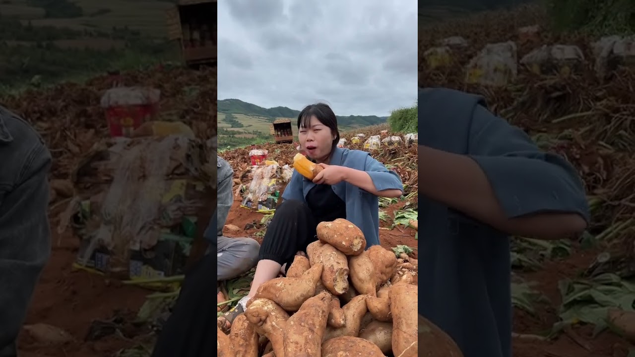 fruit ninja, fruit farm, fruit cutting and satisfying fruit cutting 