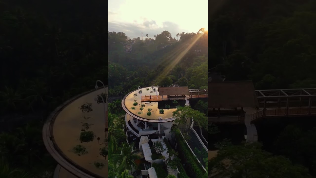 Blissful moments at the @fsbali Resort Bali At Sayan.📷 For queries WhatsApp/ Call - +91 9779327943