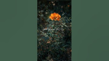 ارح سمعك و قلبك 🤍 قرآن كريم 🤍 اكتب شيئا تؤجر عليه 🤍