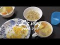 オムライス/ポトフ/ふるさと納税２/フルーツゼリー【vlog】