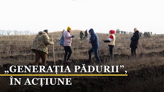 Generația Pădurii La Sângerei 700 De Voluntari Și 90 De Mii De Puieți Pentru Viitorul Moldovei