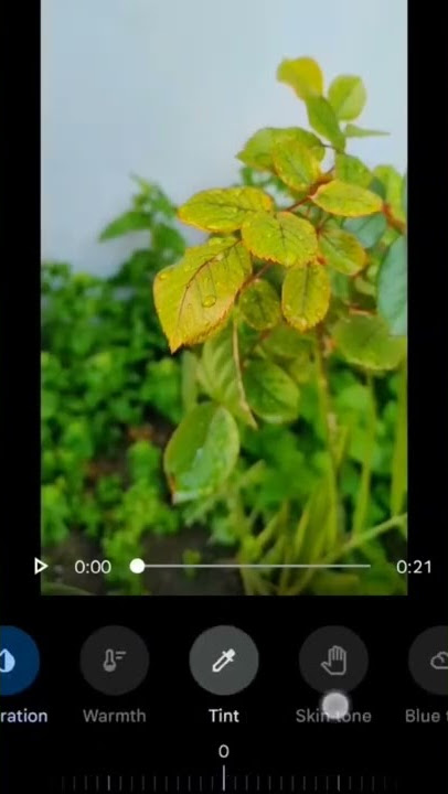 Google photos tutorial android mobile video editing (colour grading)