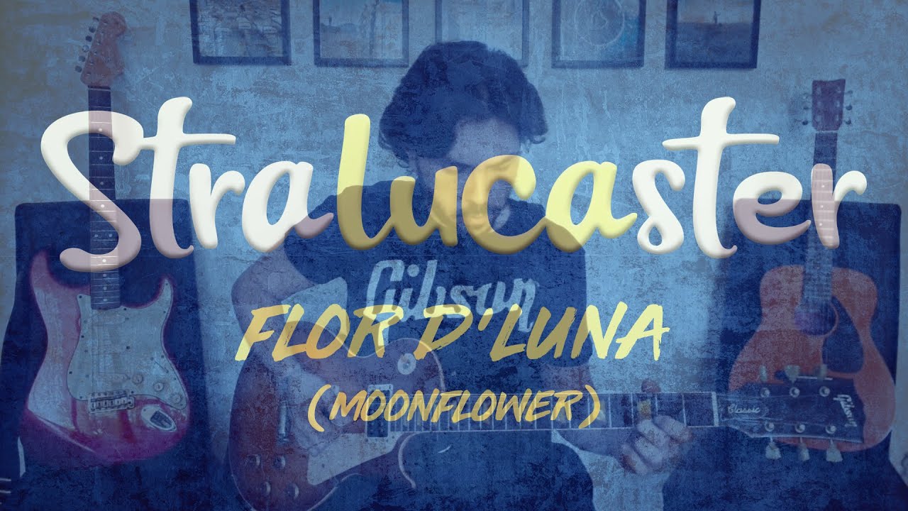 FLOR D'LUNA (MOONFLOWER) - Santana / Stralucaster cover