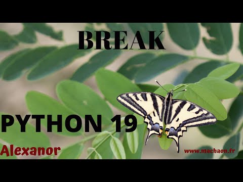 Programmation Python #19  - utilisation de break