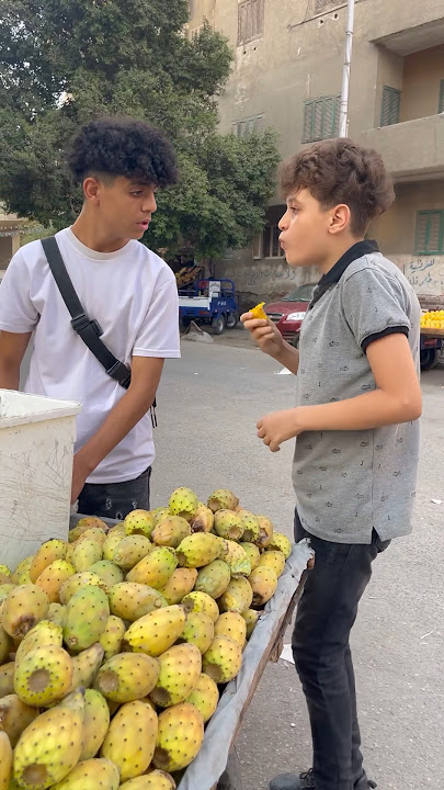 مفجوع التين الشوكي خلص العربية كلها