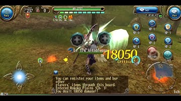 Toram online Tier 5 skills test "Draconic Charge" & "Infinite Dimension" on mid budget equipment
