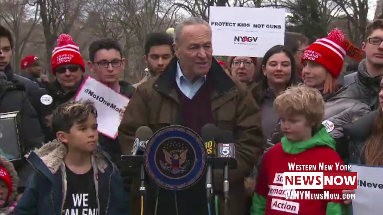Gun Control Measures Should Be Voted On Within One Month, Schumer Says