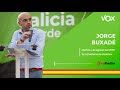 Análisis de Jorge Buxadé sobre la decisión de Juan Carlos I