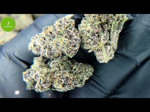 Gg Runtz Strain Effects