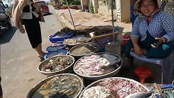 Ghé cảng Trần Đề - Sóc Trăng Mua Hải Sản Tươi Sống