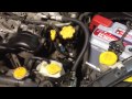 Subaru Outback / Legacy Замена антифриза Replacing the cooling fluid Subaru Outback/Legacy