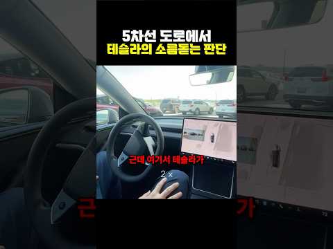 5차선 도로에서 테슬라의 소름돋는 판단 ㄷㄷ thumbnail
