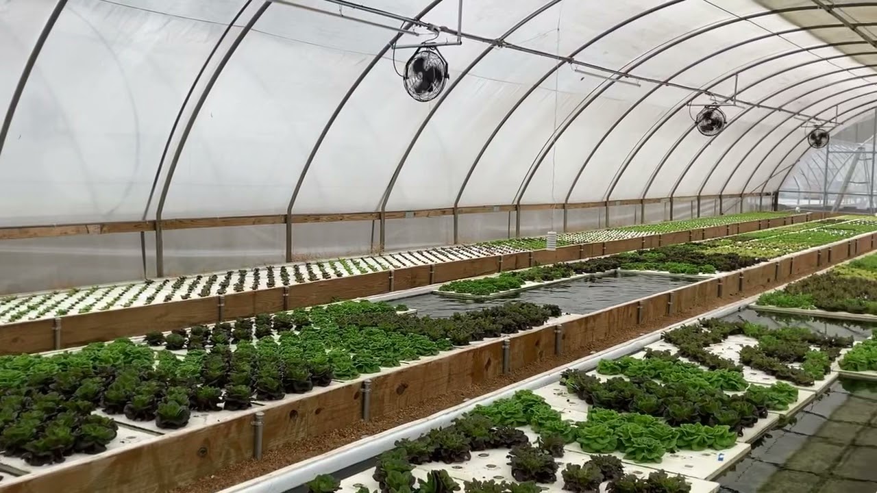 Encore Excursions | verdegreens