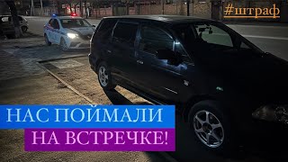 НАС ПОЙМАЛИ НА ВСТРЕЧКЕ! SAFARI