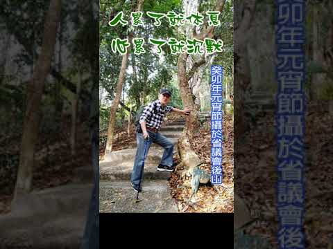 甘願 ❤  ( DIY卡拉OK字幕歌唱 ) ❤