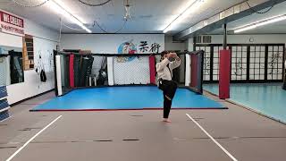 Do-san rear view