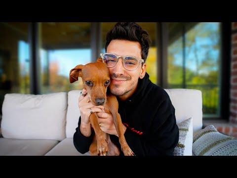 Answering Every Question (with My Dog)