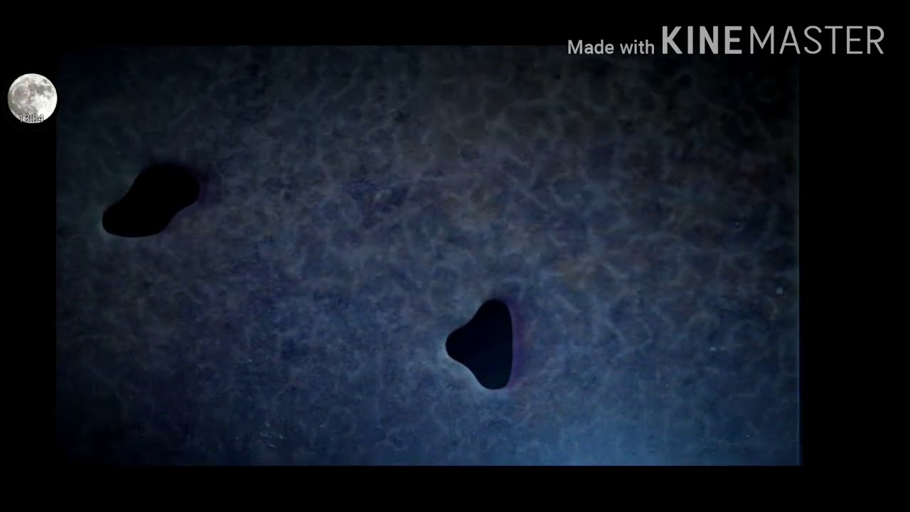 Who's Eggs Benedict Fnaf 5 YouTube