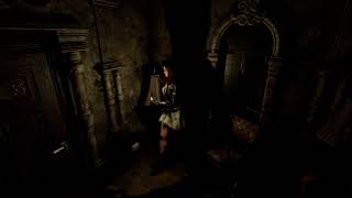 Tormented Souls ps4 A bug that never got fixed.