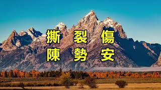撕裂傷　陳勢安
