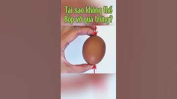 Tại sao không thể bóp vỡ quả trứng bằng tay? #congkienthuc #shorts #short