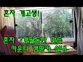 혼자 7개월 동안 만든 카운티 캠핑카 이제 실내 완성 ㅣ 카운티 캠핑카 자작 완성편 [27편]  #캠핑카인테리어 #캠핑카자작 #캠핑카만들기 #캠핑카리뷰 #캠핑카가격