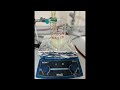 OBİT-OKYANUS KOLEJİ-ALCHEMILLA VULGARISIN KİTOSAN–ALJİNAT MİKROKAPSÜLLERLE PANKREAS KANSERİNE ETKİSİ