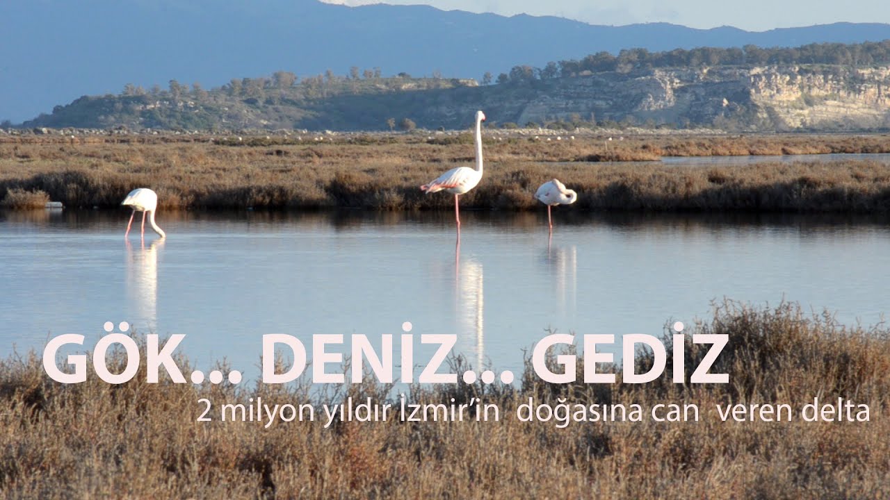 Gök, Deniz, Gediz... İki milyon yıldır İzmir'e hayat veren deltanın belgeseli...