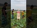 Funny video. #laughing #india #india
