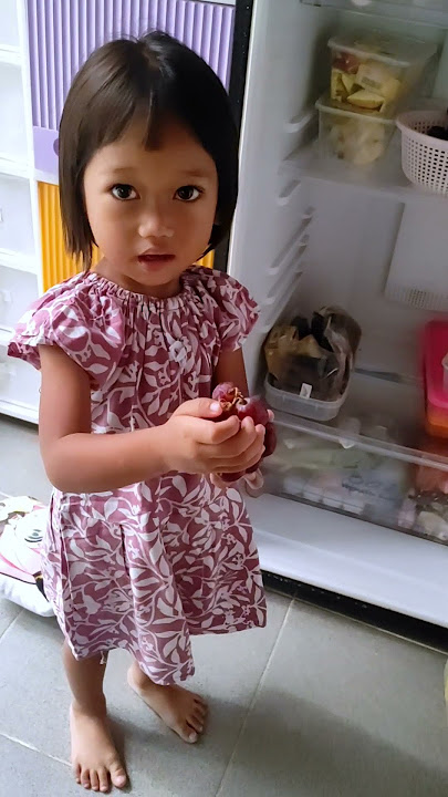 Ayesha buka kulkas terus, ternyata cari buah anggur 🍇 #lemaries #kulkas #buahanggur #anak #shorts