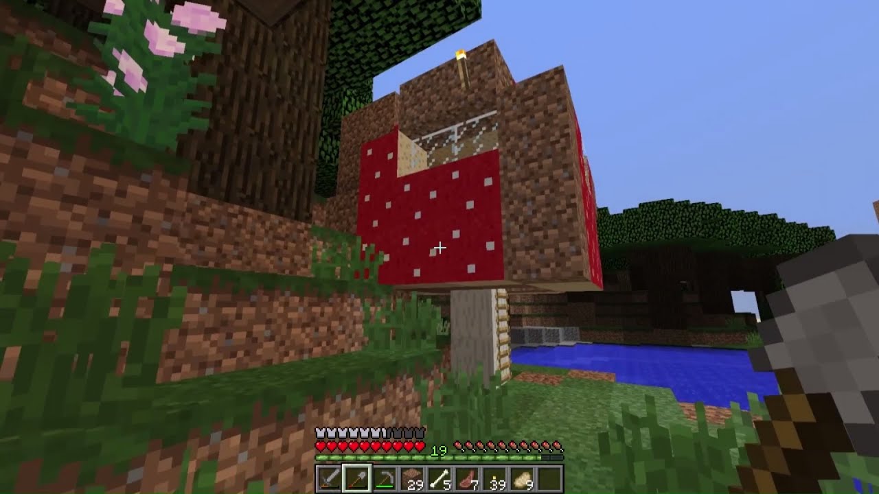 Dennis Minecraft 14 动物农场animal Farm Youtube