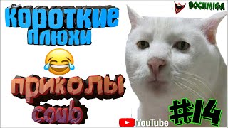 Приколы COUB. Короткие плюхи #14. 2020. Fail compilation. bochmiga.