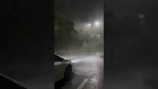 Rainforest ASMR , Heavy Rain & Thunder Sounds for Deep Sleep (USA Forest Ambience)