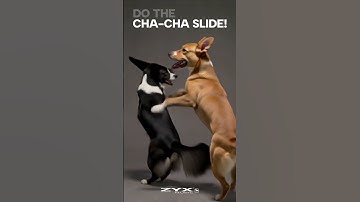 MC JIG - Cha-Cha Slide